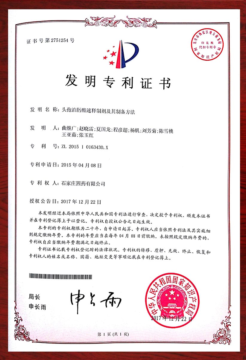 頭孢泊肟酯速釋制劑及其制備方法